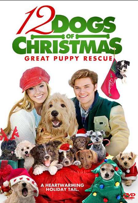 Постер. Фильм 12 рождественских собак 2